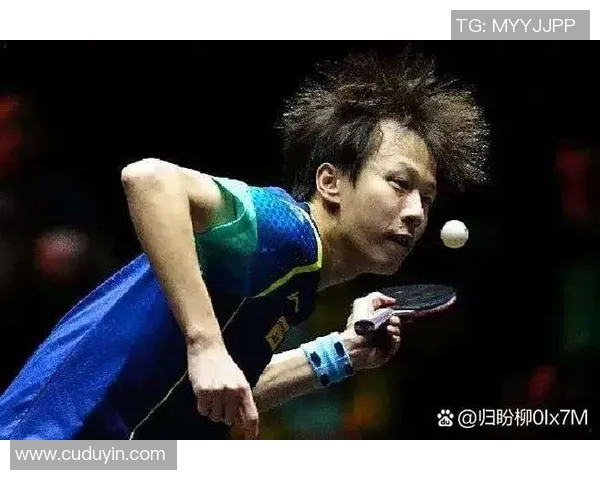 林高远与张继科全运会巅峰对决精彩瞬间回顾与赛后分析